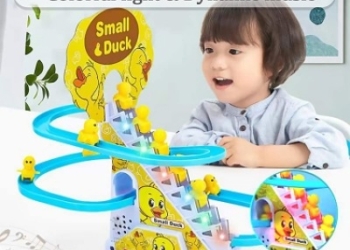 Duck Slide Toy Set